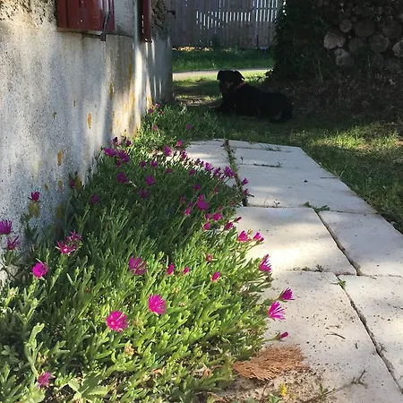 Le Puy Rabasteau Gæstehus Chantonnay