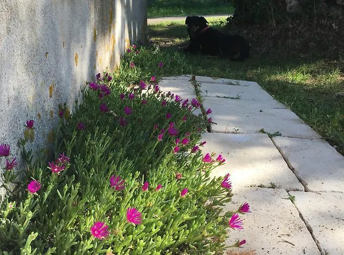 Le Puy Rabasteau Casa de hóspedes Chantonnay